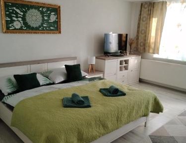 Two-Bedroom Standard Apartment