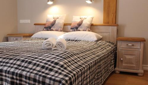 Luxury One-Bedroom Apartment IV