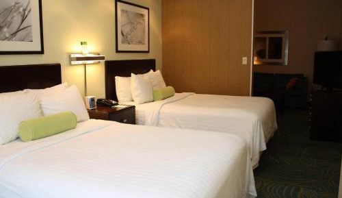 Two Double Bed Suite