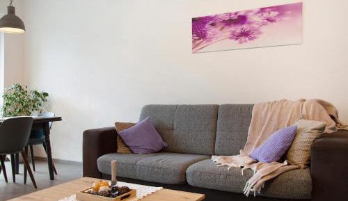 Superior One-Bedroom Apartment