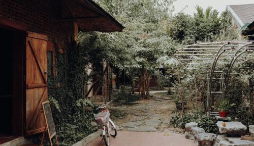 King Room with Garden View