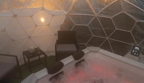 Deluxe One-Bedroom Apartment