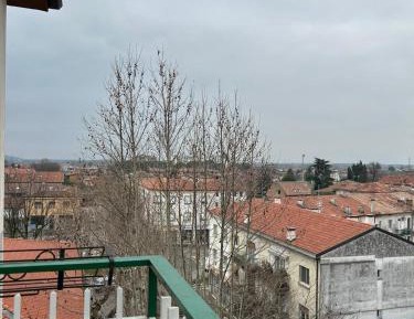 Three-Bedroom Apartment - High Floor