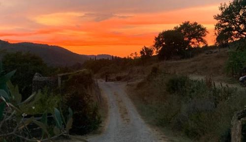 Apartment with Lake View