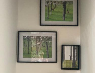 Deluxe Double Room with Shower