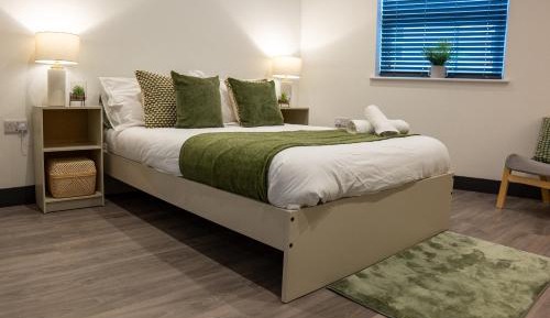 Deluxe One-Bedroom Apartment with City View