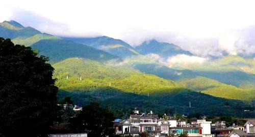 Bed in 6-Bed Female Dormitory Room