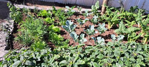 Double Room with Lake View