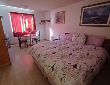 Single Room with Mountain View