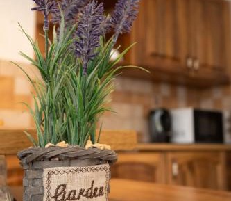 Apartment - Basement