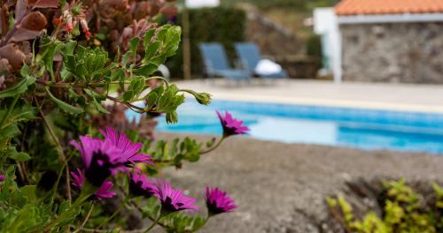 Four-Bedroom Vacation Home