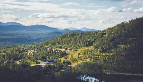 Cottage wih Sauna (6 Adults)