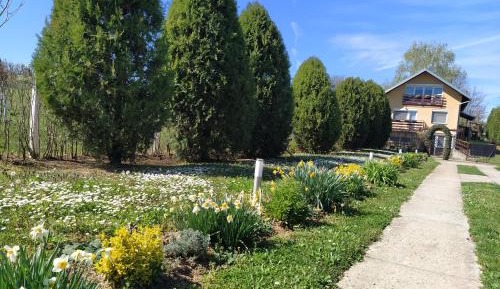 One-Bedroom Family Apartment