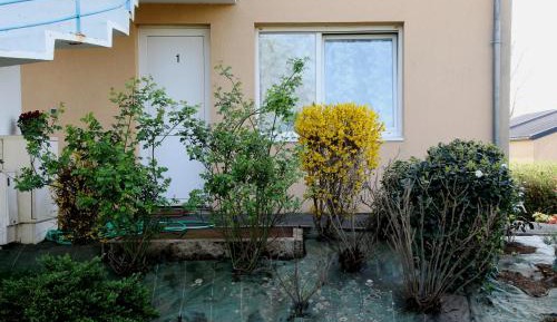 Double Room with Garden View