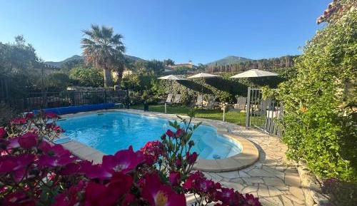 Double Room with Pool View