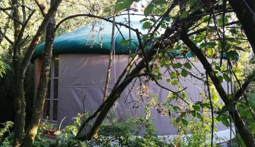 Double Room with Garden View