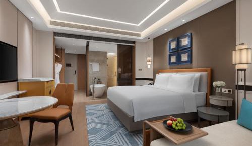 Deluxe King Room City View 