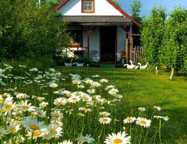 One-Bedroom House