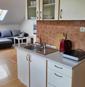 One-bedroom Loft Apartment 