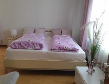 Studio with Garden View