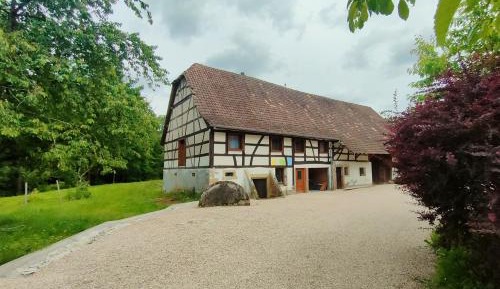 Two-Bedroom Apartment with Garden View