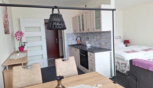 One-Bedroom Premium Apartment