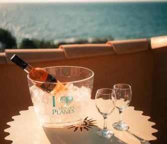 Double Room with Patio