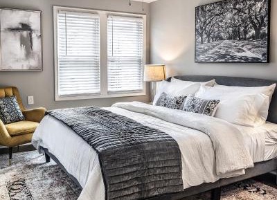 Deluxe One-Bedroom Apartment