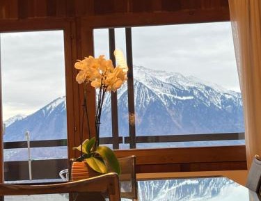 Three-Bedroom Deluxe Apartment