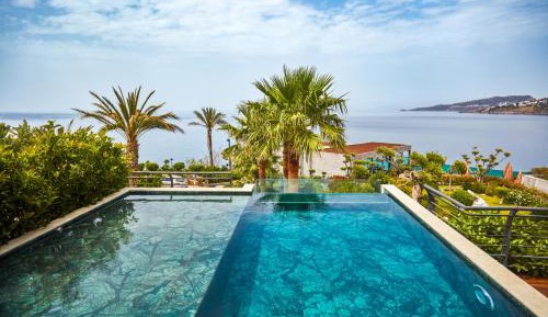 Three Bedrooms Deluxe Villa with Private Pool