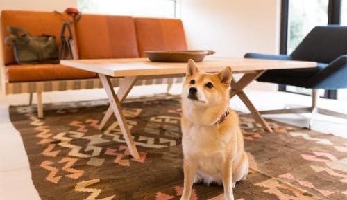 One-Bedroom Villa - Dog Friendly