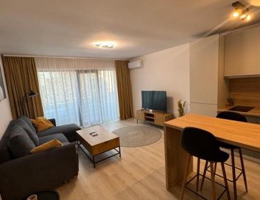 One-Bedroom Deluxe Apartment