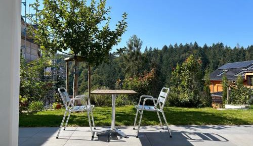 Two-Bedroom Apartment with Terrace