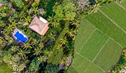 Suite with Garden View