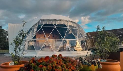 King Room with Mountain View