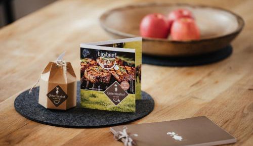 Two-Bedroom Apartment with Mountain View