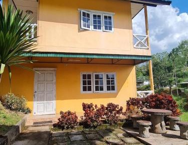 Double Room with Park View