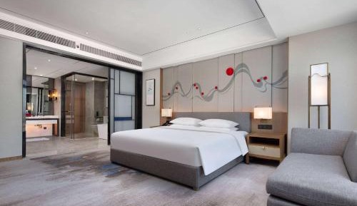 King Room with City View 