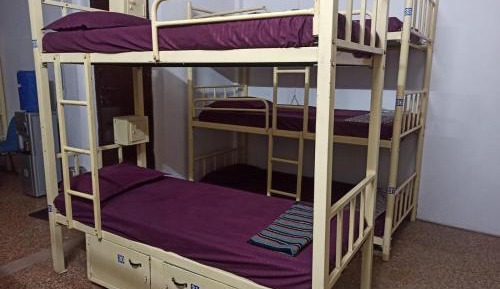 Bunk Bed in Male Dormitory Room 