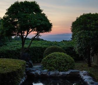 Japanese-Style Room - Selected at Check-in 