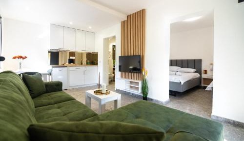 One-Bedroom Apartment with Balcony and Mountain View  