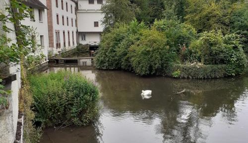 Three-Bedroom Apartment with Water View
