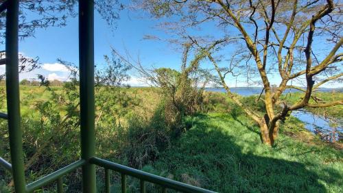 Double Room with Lake View