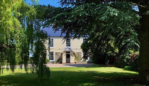 King Room with Garden View