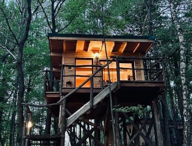 Double Room with Park View