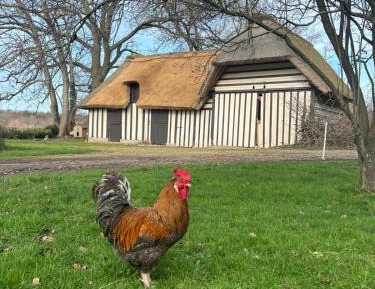 Double Room with Park View