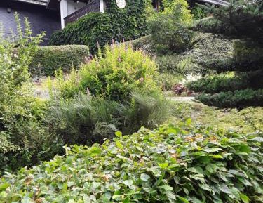 Apartment with Mountain View