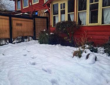 Two-Bedroom Bungalow