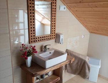 Double Room with Shared Bathroom