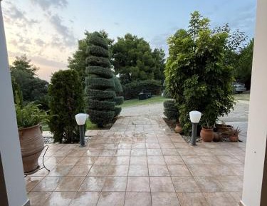 One-Bedroom Apartment with View